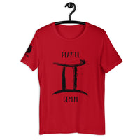 Playful Gemini (Unisex) Tee